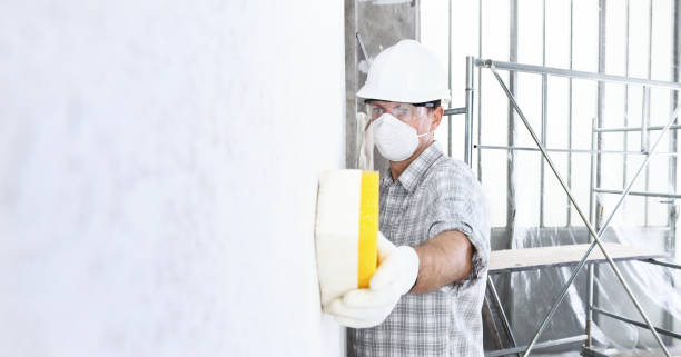 Mold Remediation for Rental Properties in Reedley, CA